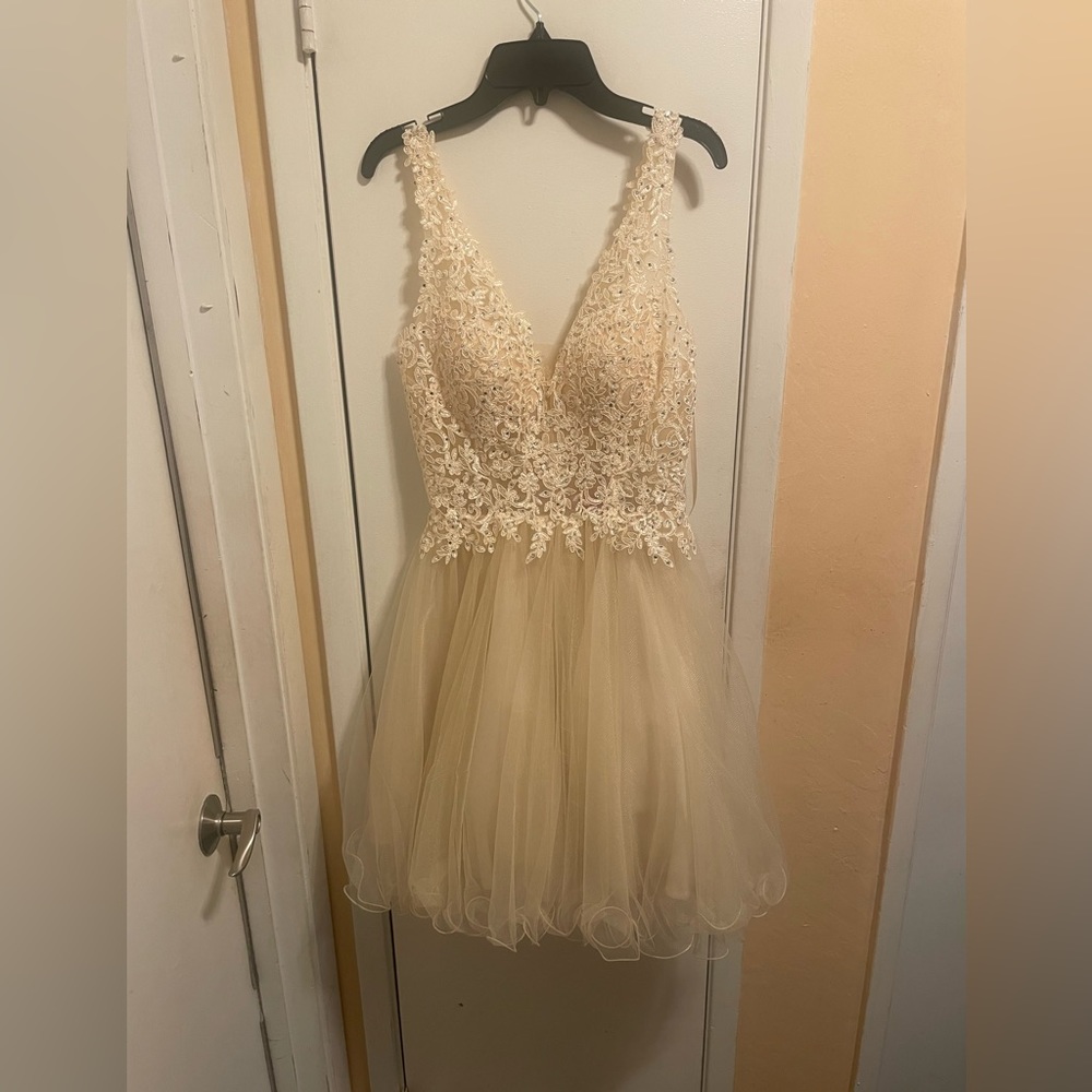 Dancing Queen Tulle Dress embroidery/bead bodice